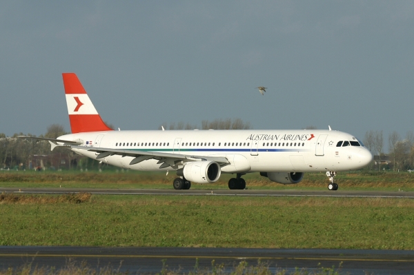 OE-LBF
Backtracking Rwy26..
Keywords: OE-LBF OST EBOS Oostende Ostend Ostende A321-211 Austrian Airlines