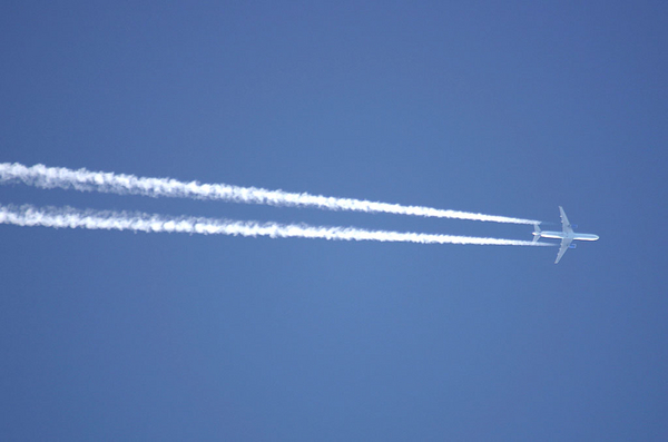 Cruising over my garden
